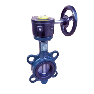 Butterfly Valve